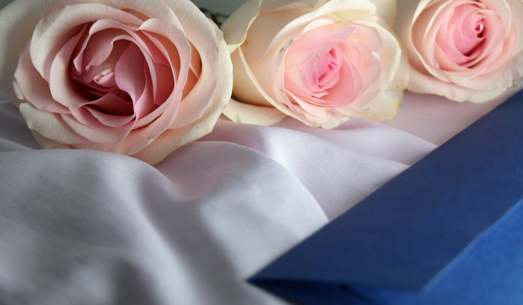 pink and navy blue wedding theme