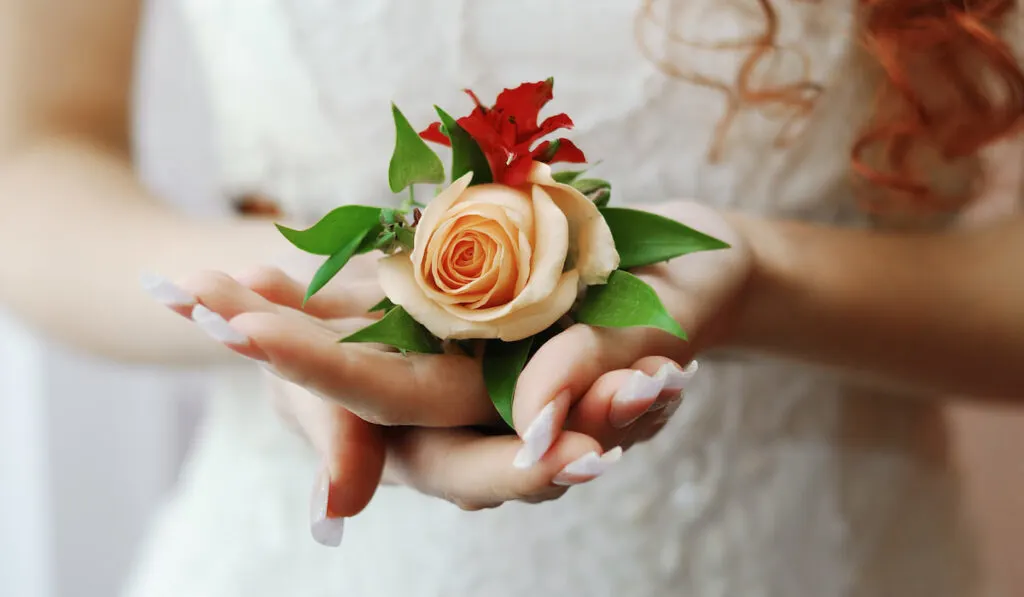 A boutonniere for the groom from an orange rose on the palms of the bride close-up

