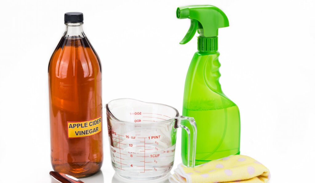 Apple cider vinegar, water spoon and spray bottle on white background