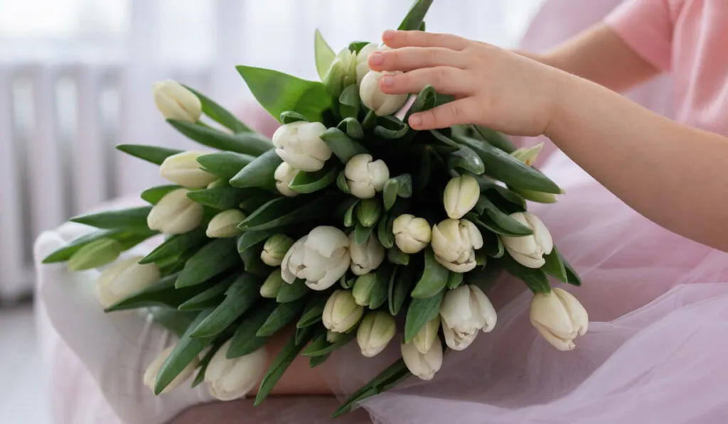 Bouquet of White tulips in children's hands 