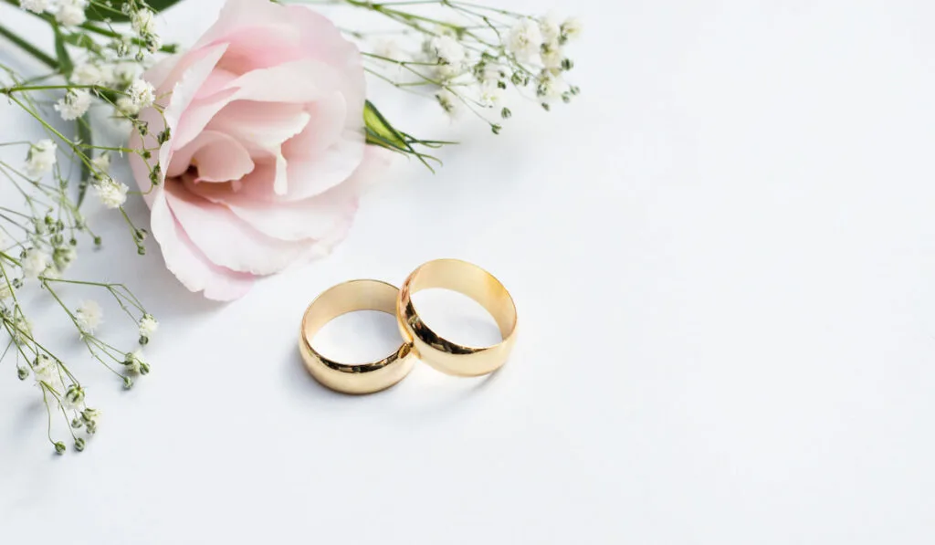 Pink flowers and two golden wedding rings on white background 