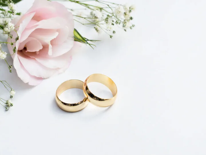 Pink-flowers-and-two-golden-wedding-rings-on-white-background