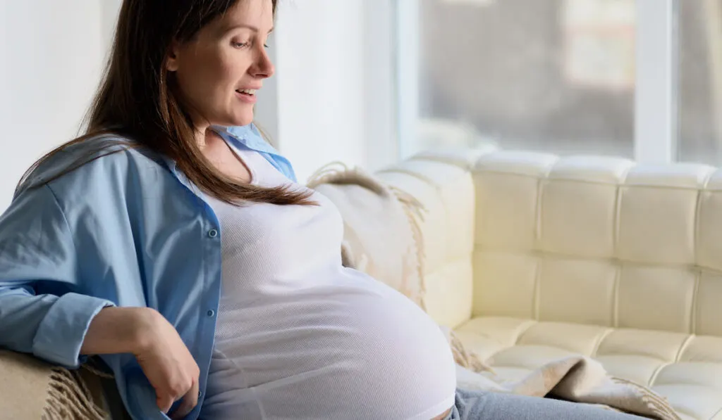 Pregnant woman sitting on sofa
