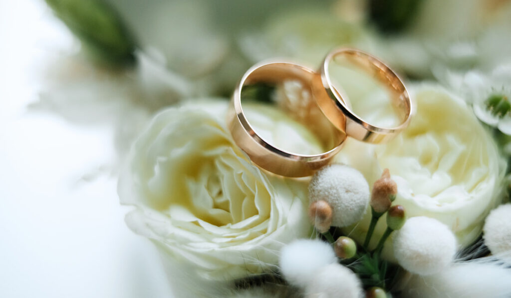 Wedding rings on top of rose flower
