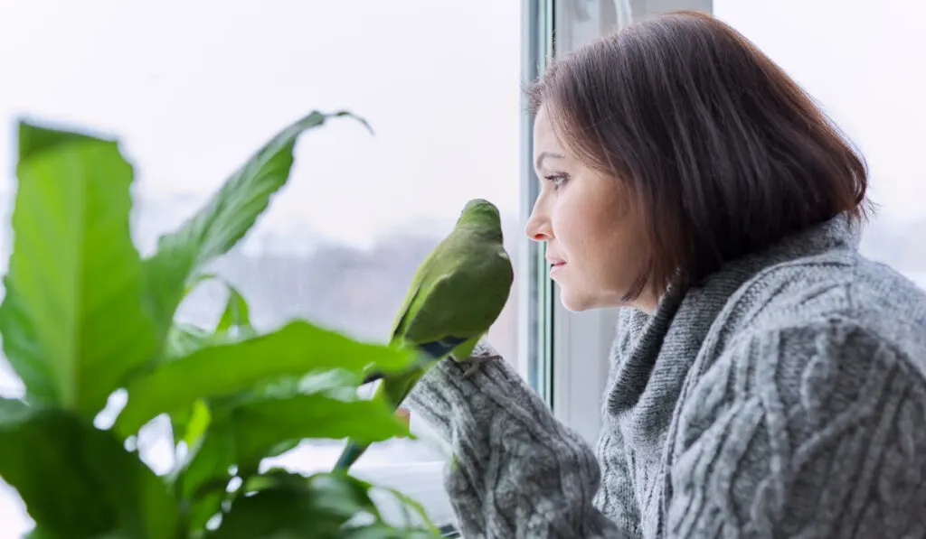 Winter, home lifestyle, woman and parrot looking together through the snowy window