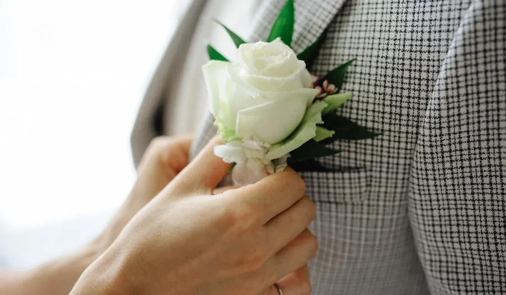 boutonniere using rose flower in groom's suit