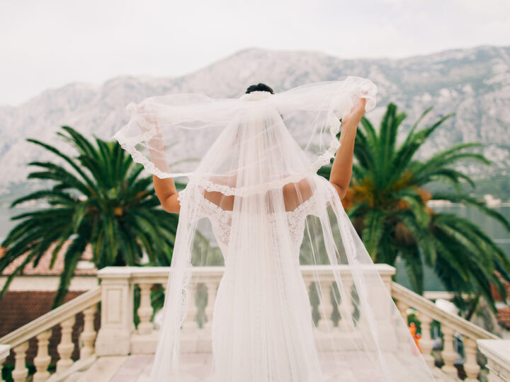 bride-with-long-veil-back-view