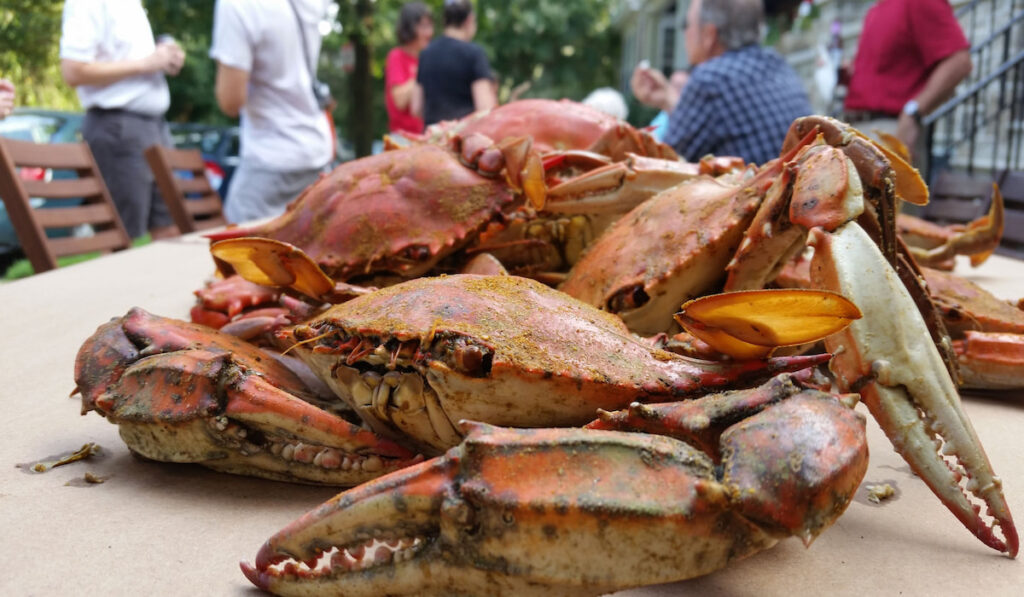 steamed blue crabs on the table for party 