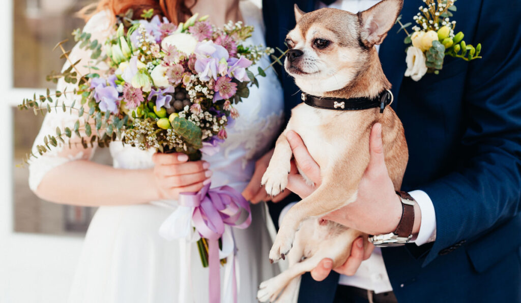 Bride holding a bouquet of flowers while groom is holding their cute dog
