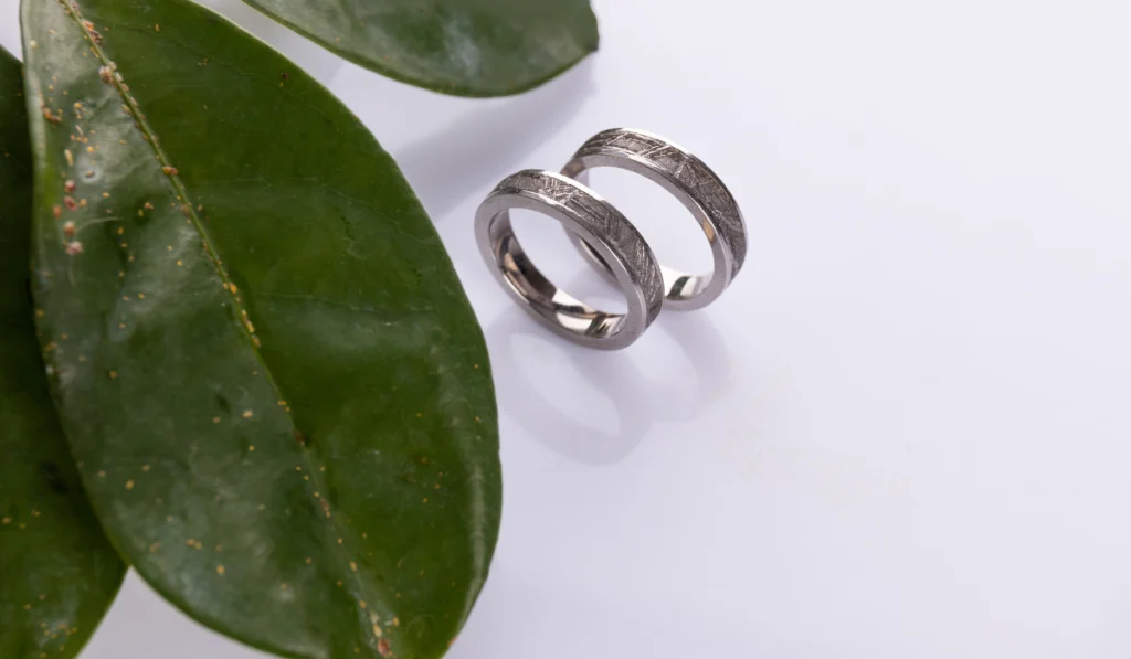 Wedding rings with a meteorite on a white background and near a green leaf of a plant
