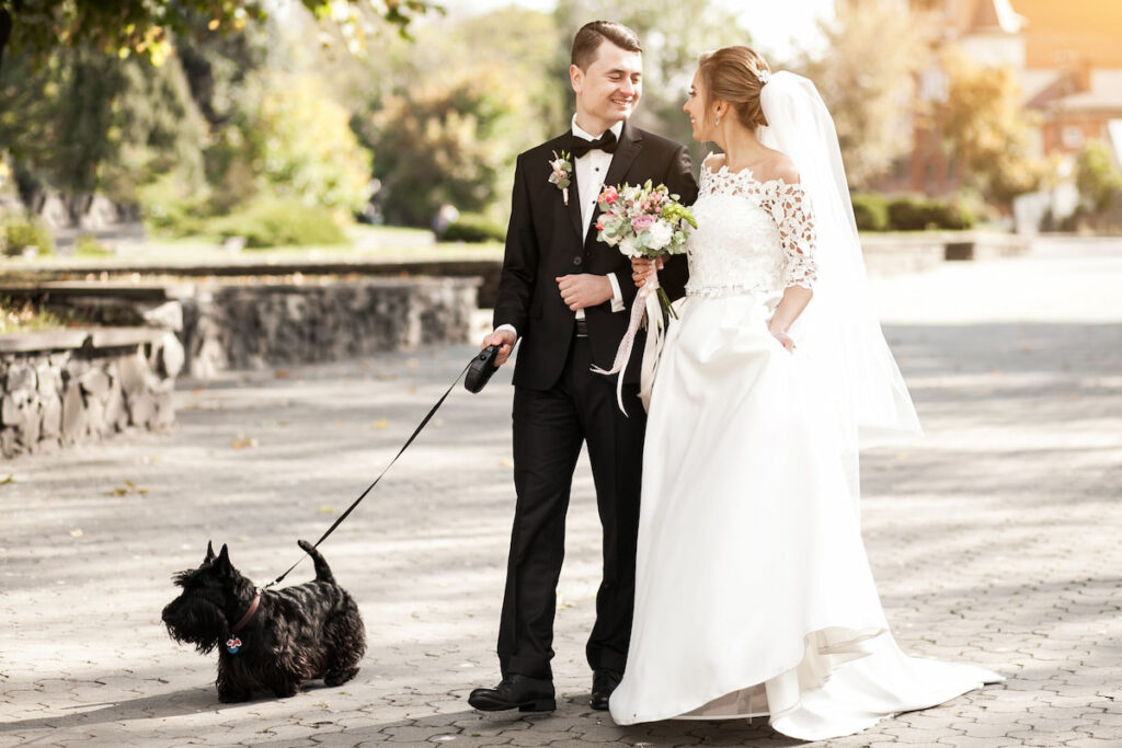newlywed couple walking with their black dog on leash