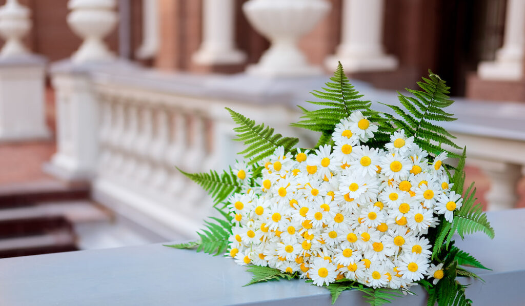 A large wedding bouquet of daisies flowers on a background of European city