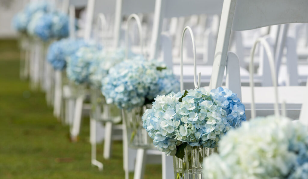 Bouquet of hydrangeas hanging from chairs for outdoor wedding 