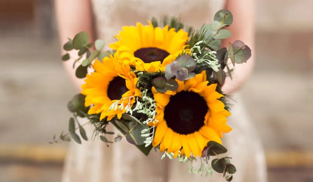 Bride in a wedding dress holding a sunflower wedding bouquet selective focus