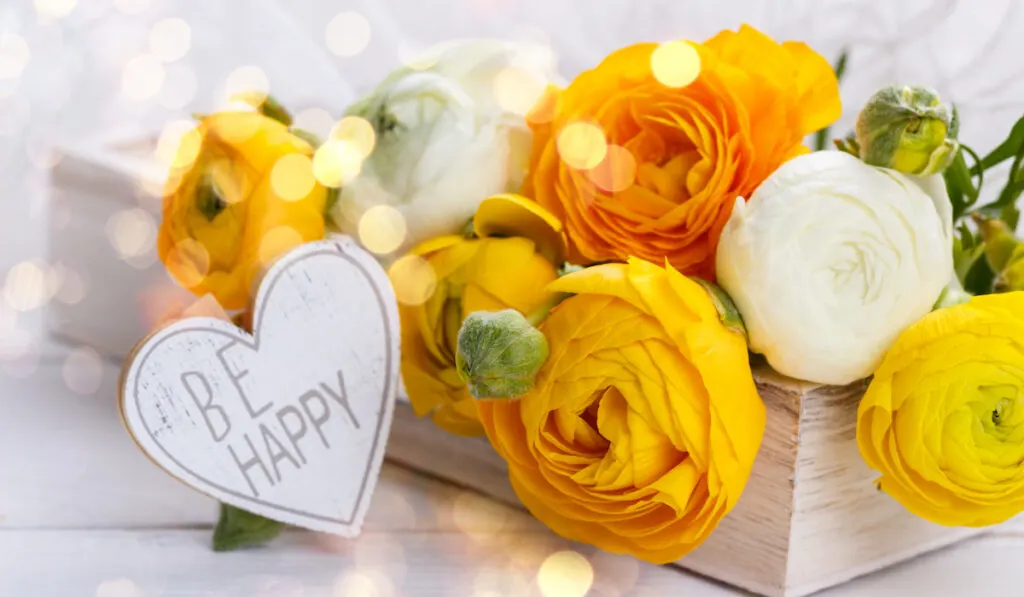 Closeup of a bouquet of yellow ranunculus and a wooden heart with message Be happy 