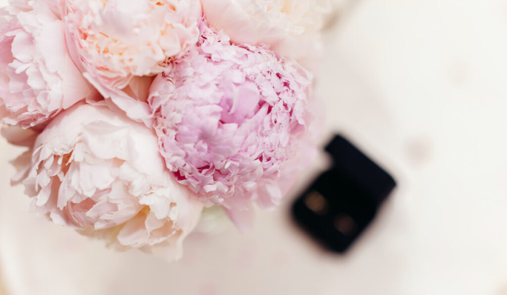 Gentle wedding bouquet peonies with blurry image of wedding rings on the table