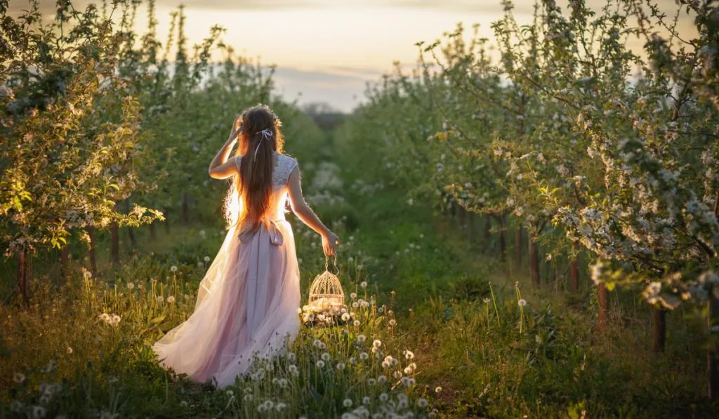 beautiful flower girl in a blooming Apple orchard for a walk