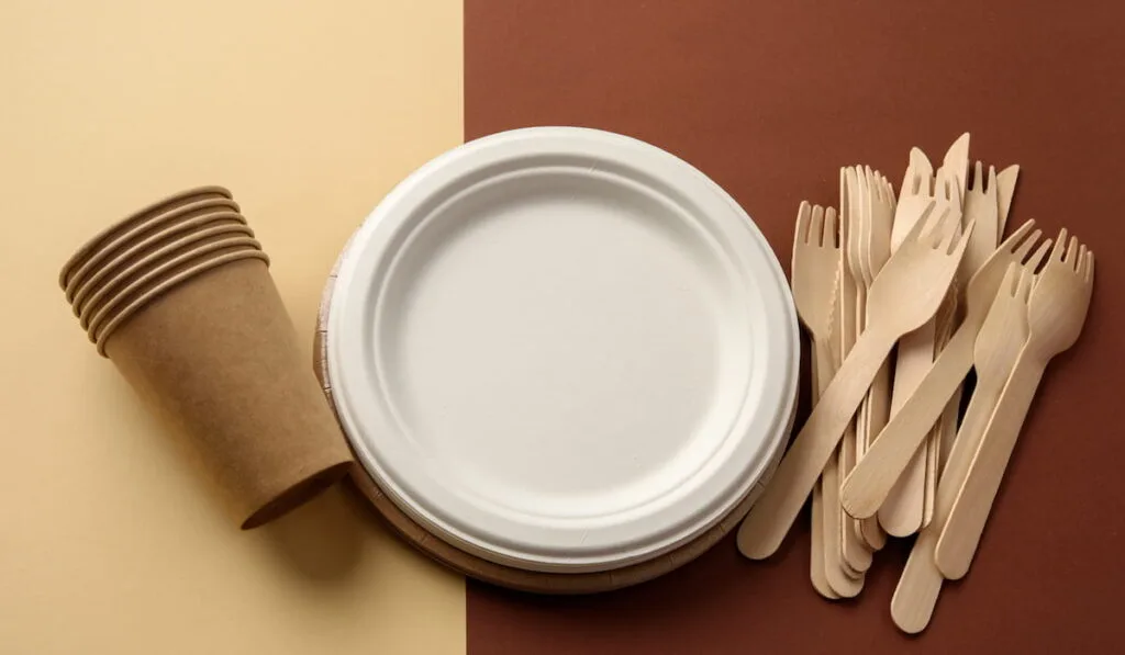 disposable fork, knife, Paper plates, paper cups on the table
