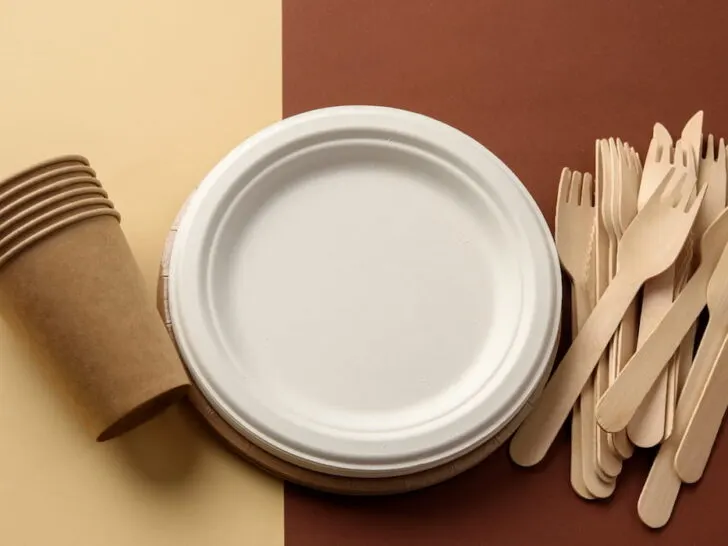 disposable plates and cutlery