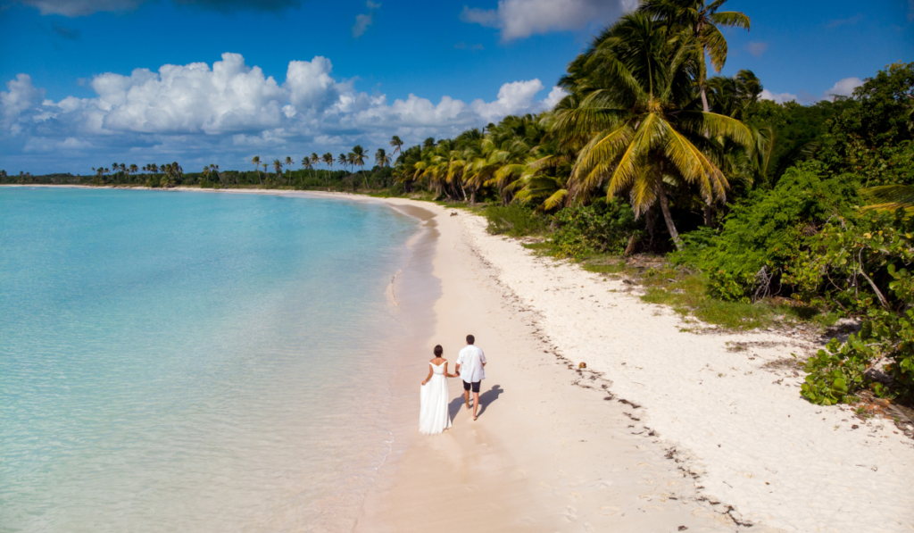 Aerial drone view of couple bride and groom walking along the paradise beach with white sand, palm trees and blue water lagoon of Caribbean Sea, Saona island, Dominican Republic
