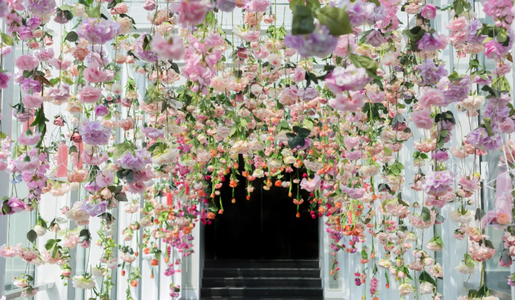 Artificial Flowers Hanging from Ceiling
