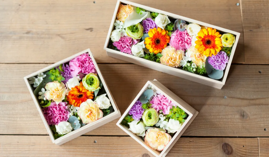 Preserved flowers in a box
