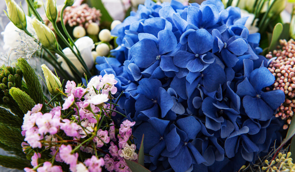 beautiful blossoming flower bouquet of fresh hydrangea, eustoma and decorative plants
