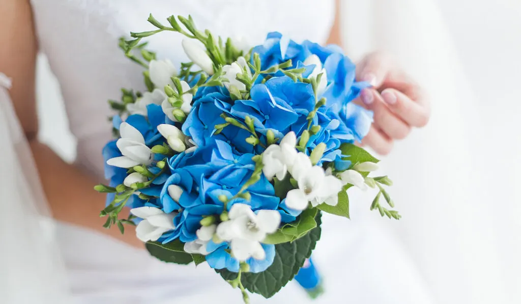 bride holding blue bouquet of flowers