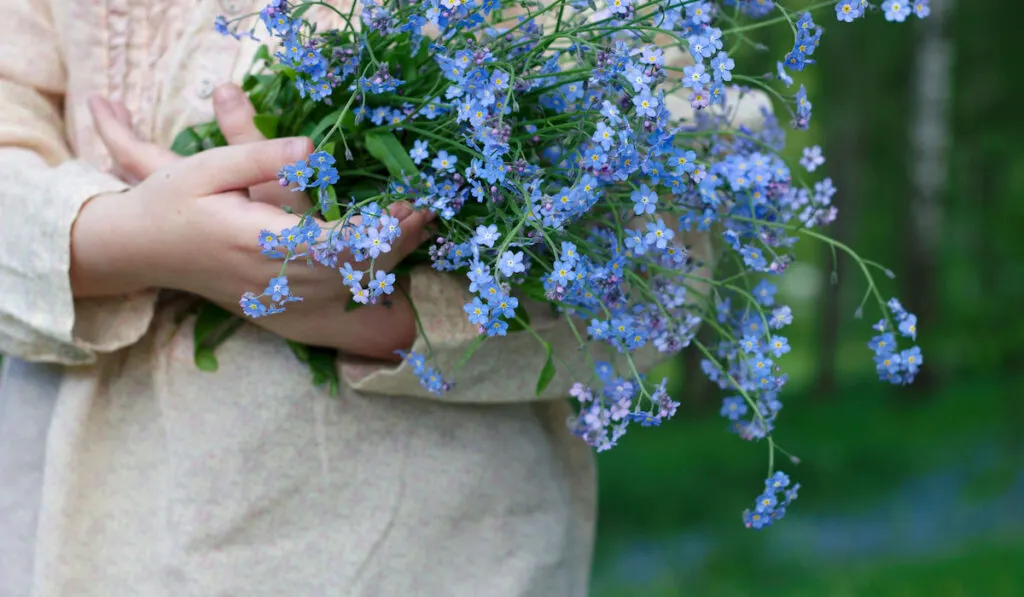 girl holding bouquet of forget me not blue flowers 