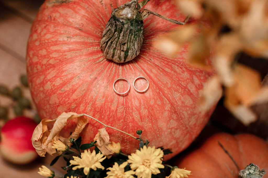 wedding rings on top of a big pumpkin